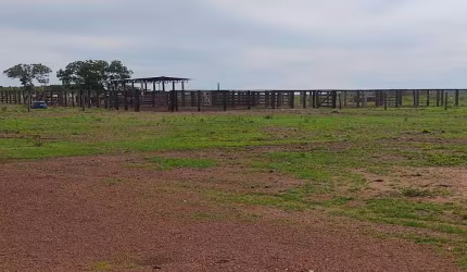 FAZENDA COM 320 ALQUEIRES DUPLA APTIDÃO EM BOM JESUS DO TOCANTINS - TO