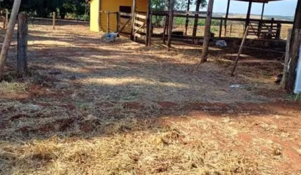 FAZENDA COM 15 ALQUEIRES DUPLA APTIDÃO NO MUNICÍPIO DE ARAPORÃ - MG