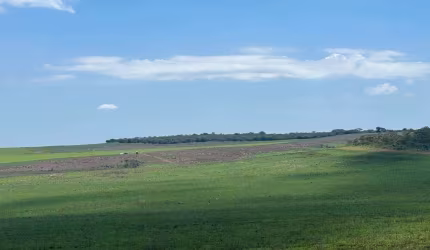 FAZENDA 230 ALQUEIRES PARA LAVOURA COM DÍVIDAS EM CRISTALINA-GO