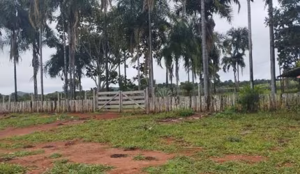 FAZENDA DUPLA APTIDÃO 146 ALQUEIRES EM BOM JÁRDIM DE GOIÁS