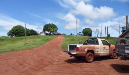 FAZENDA TOP 1.900 ALQUEIRES EM ALTAMIRA-PA