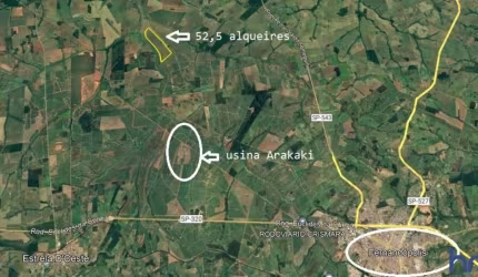 FAZENDA PARA AGRICULTURA EM CANA COM 52,5 ALQUEIRES PAULISTAS EM FERNANDÓPOLIS - SP