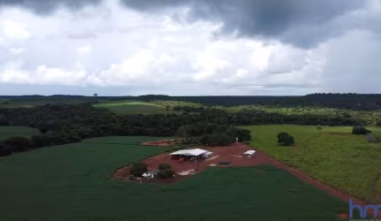 FAZENDA PARA AGRICULTURA COM 1.300 HECTARES EM PRIMAVERA DO LESTE