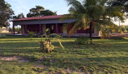 FAZENDA DUPLA APTIDÃO COM 990 ALQUIEIRES EM RIACHÃO - MA