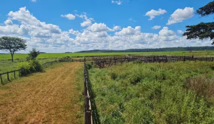 FAZENDA DUPLA APTIDÃO 160 ALQUEIRES EM ITARUMÃ-GO