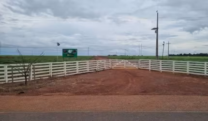 OPORTUNIDADE DE NEGÓCIO: FAZENDA 1.500 ALQUEIRES DUPLA APTIDÃO EM BALSAS-MA