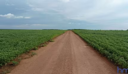 FAZENDA PARA AGRICULTURA COM 227 ALQUEIRES EM SANTA RITA DO TOCANTINS-TO