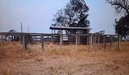 FAZENDA COM 76 ALQUEIRES DUPLA APTIDÃO NO MUNICÍPIO DE CAMPINA VERDE - MG