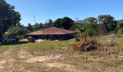 FAZENDA PARA PECUÁRIA COM 96 ALQUEIRES EM GOIANÉSIA-GO