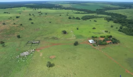 FAZENDA COM 785 HECTARES DUPLA APTIDÃO NO MUNICÍPIO DE CANARANA - MT