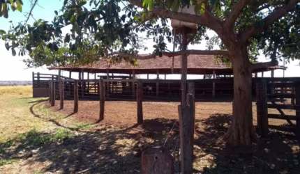 FAZENDA DUPLA APTIDÃO EM CAMPINA VERDE-MG 206 ALQUEIRES