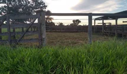 FAZENDA COM 62 ALQUEIRES PARA PECUÁRIA NO MUNICÍPIO DE ITUIUTABA - MG
