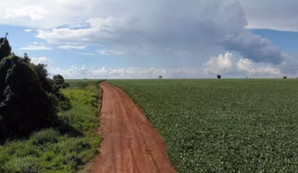 FAZENDA COM 260 HECTARES PARA AGRICULTURA NO MUNICÍPIO DE COROMANDEL - MG