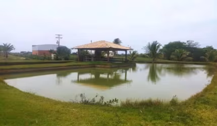 ÓTIMA FAZENDA 130 ALQUEIRES DUPLA APTIDÃO COM CANA ARRENDADA E PISTA DE POUSO EM PANORAMA-SP