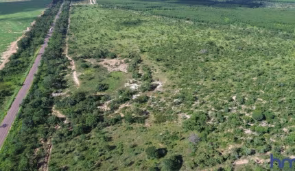FAZENDA COM 950 ALQUEIRES MÚLTIPLAS APTIDÕES BOA DE ÁGUA EM JOÃO PINHEIRO-MG