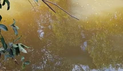 FAZENDA COM 160 ALQUEIRES DE DUPLA APTIDÃO EM RIO SONO-TO