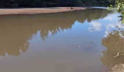 SÍTIO 2 ALQUEIRES ÀS MARGENS DO RIO DO PEIXE EM FAINA-GO