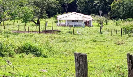 SÍTIO COM 7 ALQUEIRES MUITO BEM LOCALIZADO NO MUNICÍPIO DE ARAGUARI-MG