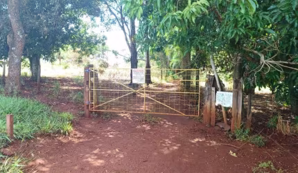 ÓTIMO SÍTIO COM 7 ALQUEIRES DE DUPLA APTIDÃO EM UBERLÂNDIA-MG