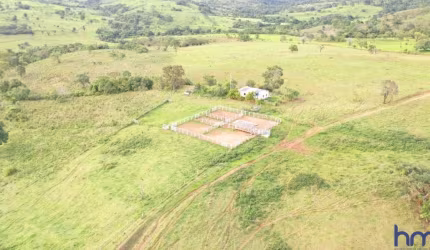 FAZENDA DUPLA APTIDÃO COM 82 ALQUEIRES EM ABADIÂNIA - GO
