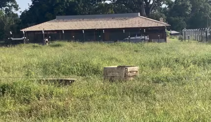 ÓTIMA FAZENDA COM 23 ALQUEIRES DE DUPLA APTIDÃO EM UBERABA-MG