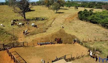 FAZENDA COM 25 ALQUEIRES  PAULISTAS DE DUPLA APTIDÃO EM PIUMHI-MG