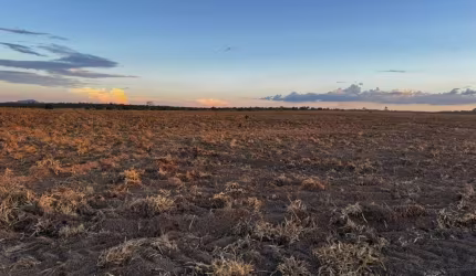 FAZENDA COM 400 ALQUEIRES PARA AGRICULTURA EM XINGUARA-PA