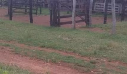FAZENDA COM 250 ALQUEIRES DE DUPLA APTIDÃO SITUADA NO MUNICÍPIO DE PEIXE-TO