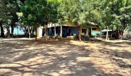 FAZENDA COM 1.000 ALQUEIRES DE DUPLA APTIDÃO EM ALMAS-TO