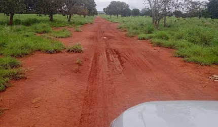 GRANDE FAZENDA DE DUPLA APTIDÃO COM 1.400 ALQUEIRES EM SILVANÓPOLIS-TO