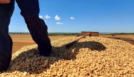 FAZENDA PARA AGRICULTURA COM 450 ALQUEIRES PAULISTAS EM CASSILÂNDIA-MS