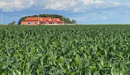 FAZENDA COM 1.050 ALQUEIRES DUPLA APTIDÃO NO MUNICÍPIO DE SANTANA DO ARAGUAIA - PA