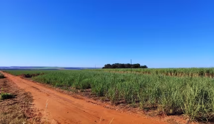 FAZENDA COM 930 ALQUEIRES DE DUPLA APTIDÃO ARRENDADA CANA E EUCALIPTO EM CHAPADÃO DO CÉU-GO