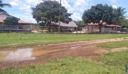 FAZENDA DUPLA APTIDÃO COM 200 ALQUEIRES EM SÃO PEDRO DOS CRENTES-MA