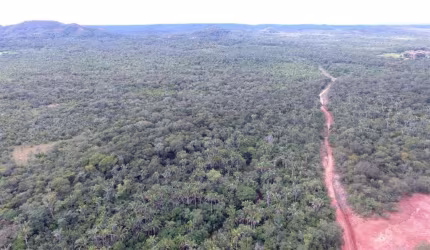 FAZENDA COM 2.230 ALQUEIRES DE DUPLA APTIDÃO NA REGIÃO DE PARNARAMA-MA