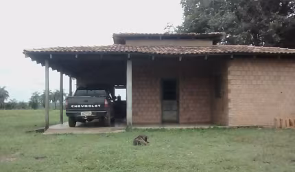 OPORTUNIDADE FAZENDA COM 85 ALQUEIRES DE DUPLA APTIDÃO EM DOIS IRMÃOS-TO