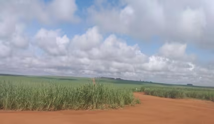 FAZENDA 304 ALQUEIRES PLANTADA EM CANA E ARRENDADA EM MINEIROS-GO