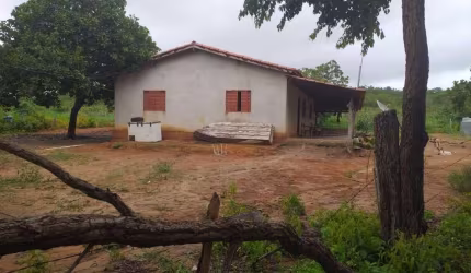 OPORTUNIDADE FAZENDA DE DUPLA APTIDÃO COM 84 ALQUEIRES EM SÃO SALVADOR DO TOCANTINS-TO