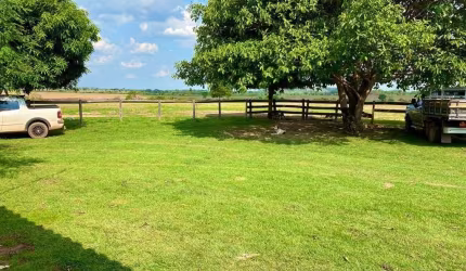 FAZENDA 310 ALQUEIRES DUPLA APTIDÃO EM ITAPIRAPUÃ-GO
