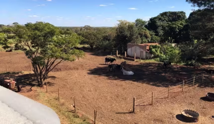 SÍTIO DE 5 ALQUEIRES DE DUPLA APTIDÃO EM UBERLÂNDIA-MG