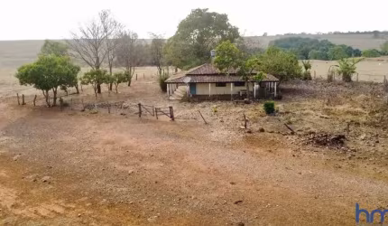 FAZENDA EXTRA COM 40 ALQUEIRES DUPLA APTIDÃO IPAMERI-GO
