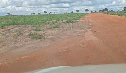 FAZENDA COM DUPLA APTIDÃO COM 100 ALQUEIRES EM ARUANÃ-GO
