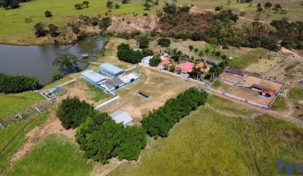 FAZENDA COM 146 ALQUEIRES DUPLA APTIDÃO EM BURITIS-MG