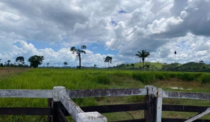 FAZENDA DUPLA APTIDÃO COM 300 ALQUEIRES EM SÃO FÉLIX DO XINGU - PA