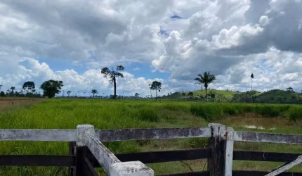 FAZENDA DUPLA APTIDÃO COM 300 ALQUEIRES EM SÃO FÉLIX DO XINGU - PA