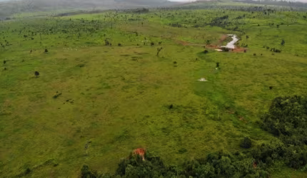 FAZENDA COM 660 ALQUEIRES DUPLA APTIDÃO EM SÃO FÉLIX DO XINGU-PA