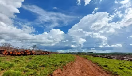 FAZENDA COM 63 ALQUEIRES DE DUPLA APTIDÃO EM UBERLÂNDIA-MG