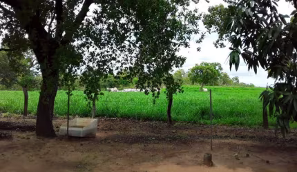 OPORTUNIDADE FAZENDA COM 475 ALQUEIRES DUPLA APTIDÃO EM RIO SONO-TO