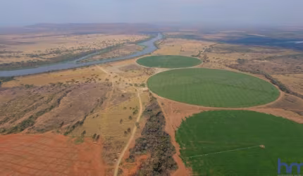 FAZENDA DE DUPLA APTIDÃO COM 440 ALQUEIRES COM IRRIGAÇÃO EM BURITIZEIRO-MG