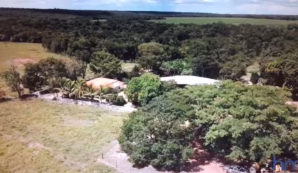 FAZENDA COM 840 ALQUEIRES DUPLA APTIDÃO NO MUNICÍPIO DE NOVO ACORDO - TO